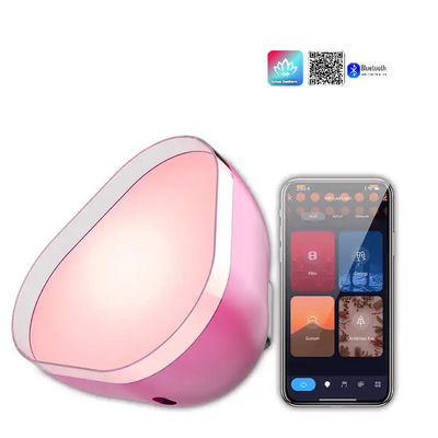 Carga por USB Atmosfera luces LED RGBIC Bluetooth personalizado